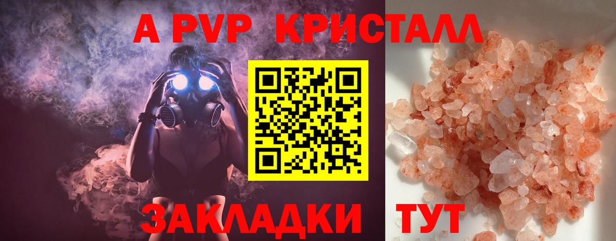 Alfa_PVP СК Кисловодск