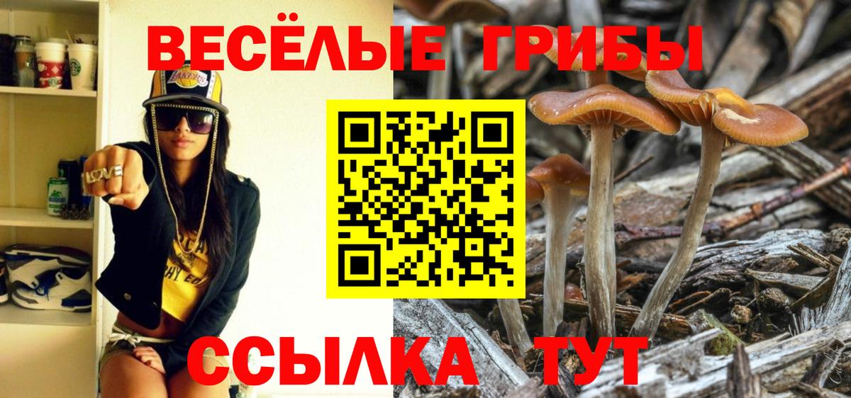 Псилоцибиновые грибы мицелий Кисловодск