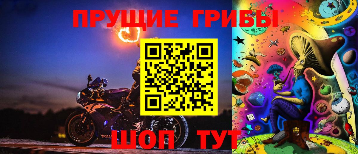 ГАШ Кисловодск